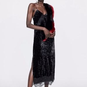 Zara Trf Cheetah Black Velvet & Lace Slip Dress